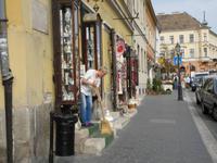 Stadtrundfahrt in Budapest