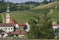 An der Donau