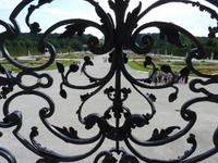 Blick in den Garten
