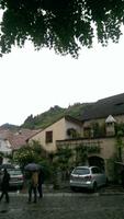 Dürnstein in der Wachau