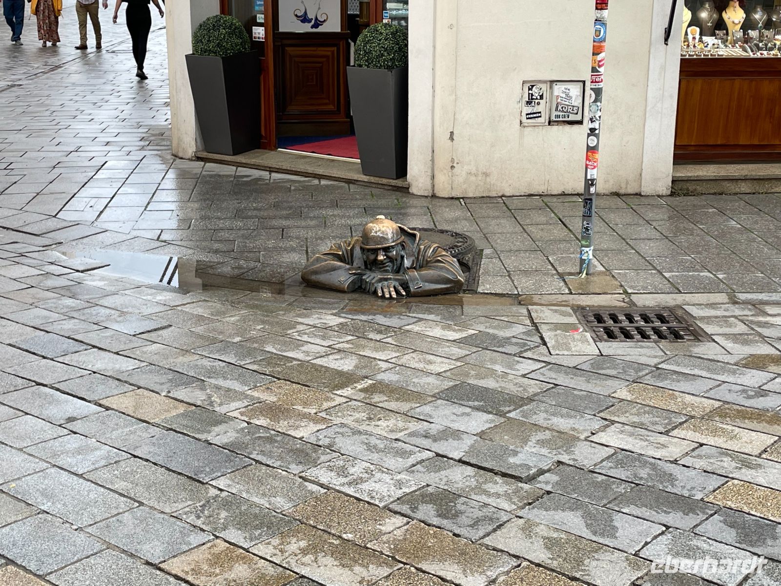 Der 