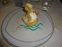 Der Schwan