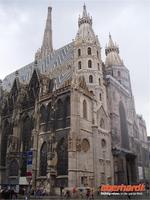 Der mächtige Stephansdom in Wien