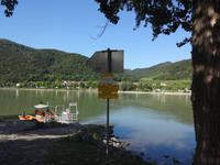 Donau in der Wachau