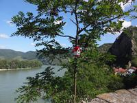 Donau in der Wachau