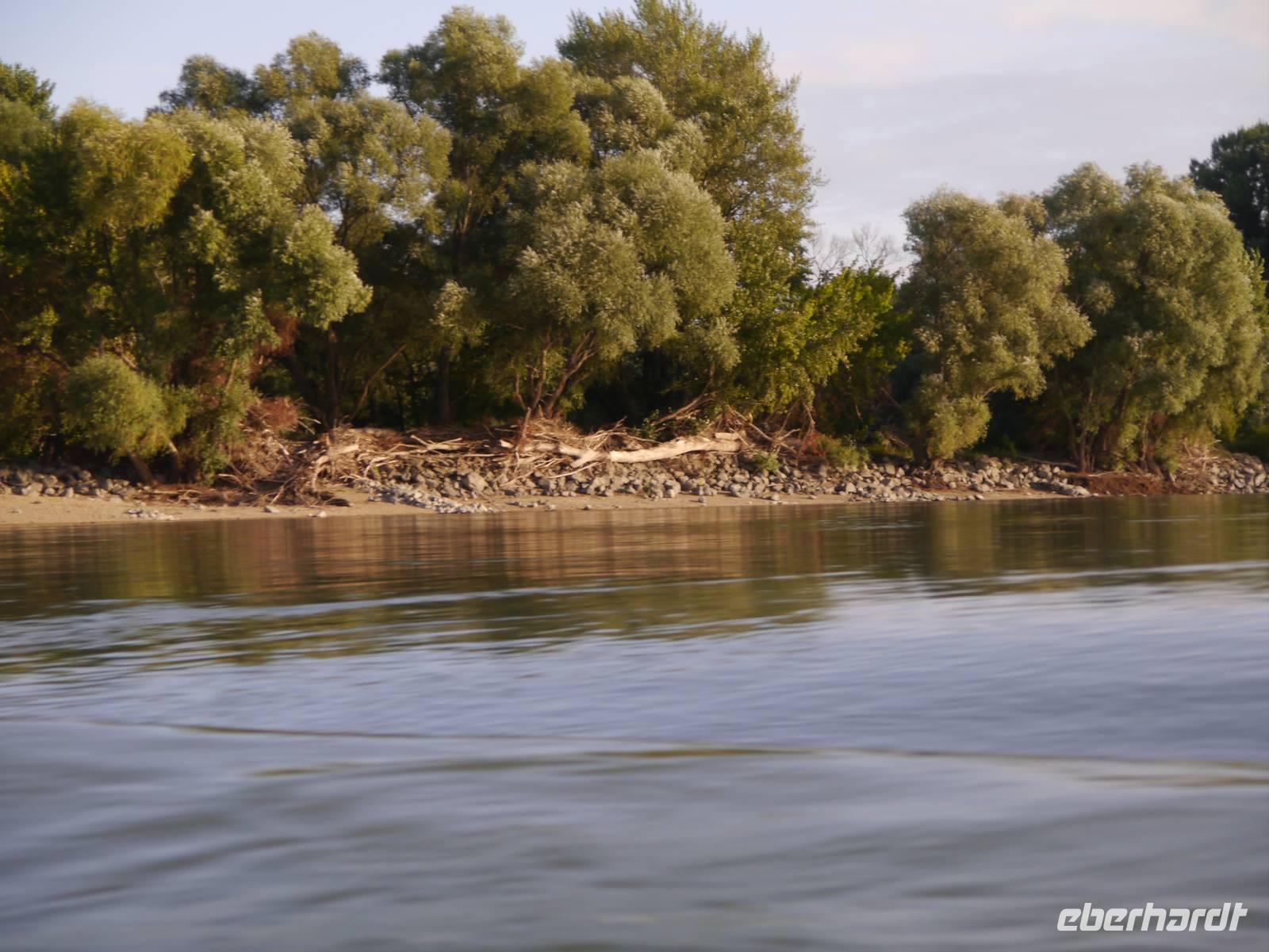 Donauimpressionen