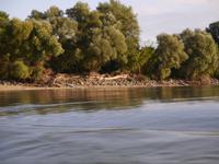 Donauimpressionen