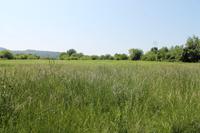 Esztergom