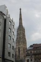IMG_5263
