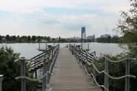 IMG_5288