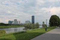 IMG_5292