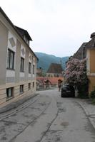 IMG_5331