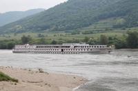 IMG_5354