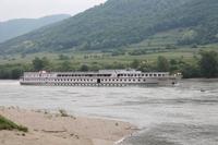 IMG_5355