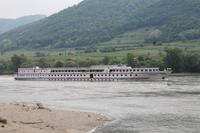 IMG_5356