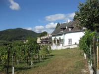 In der Wachau