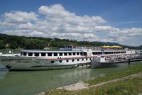 MS Rossini in Melk