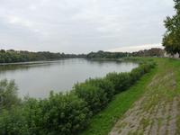Mole in Szendendre