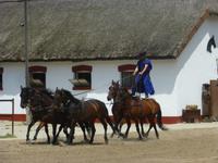 Puszta