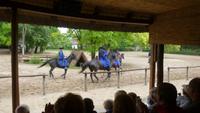 Reitshow
