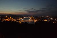 SAM_0061