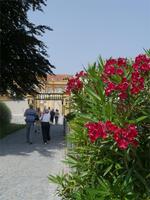 Stift Melk (4)