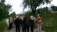 Wachau - Spaziergang in Dürnstein