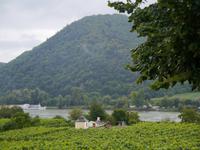 Wachau