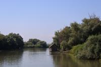 Donaudelta