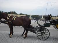 Wien: Schloss Schönbrunn