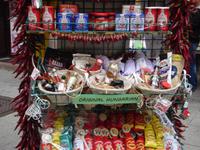 Budapest: Rundfahrt/Rundgang