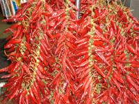 Budapest: Rundfahrt/Rundgang