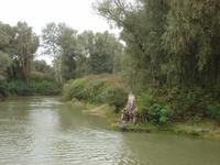 Im Donaudelta