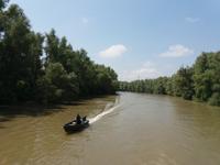 Fahrt durchs Donaudelta