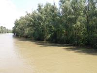 Fahrt durchs Donaudelta