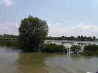 Fahrt durchs Donaudelta