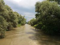 Fahrt durchs Donaudelta