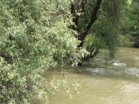 Fahrt durchs Donaudelta