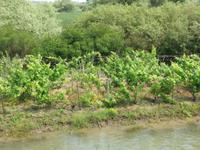 Fahrt durchs Donaudelta