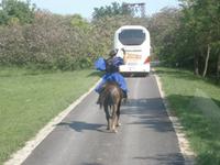 Geleit zum Reiterhof in der Puszta 