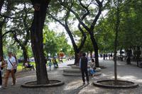 P9080015, Bratislava