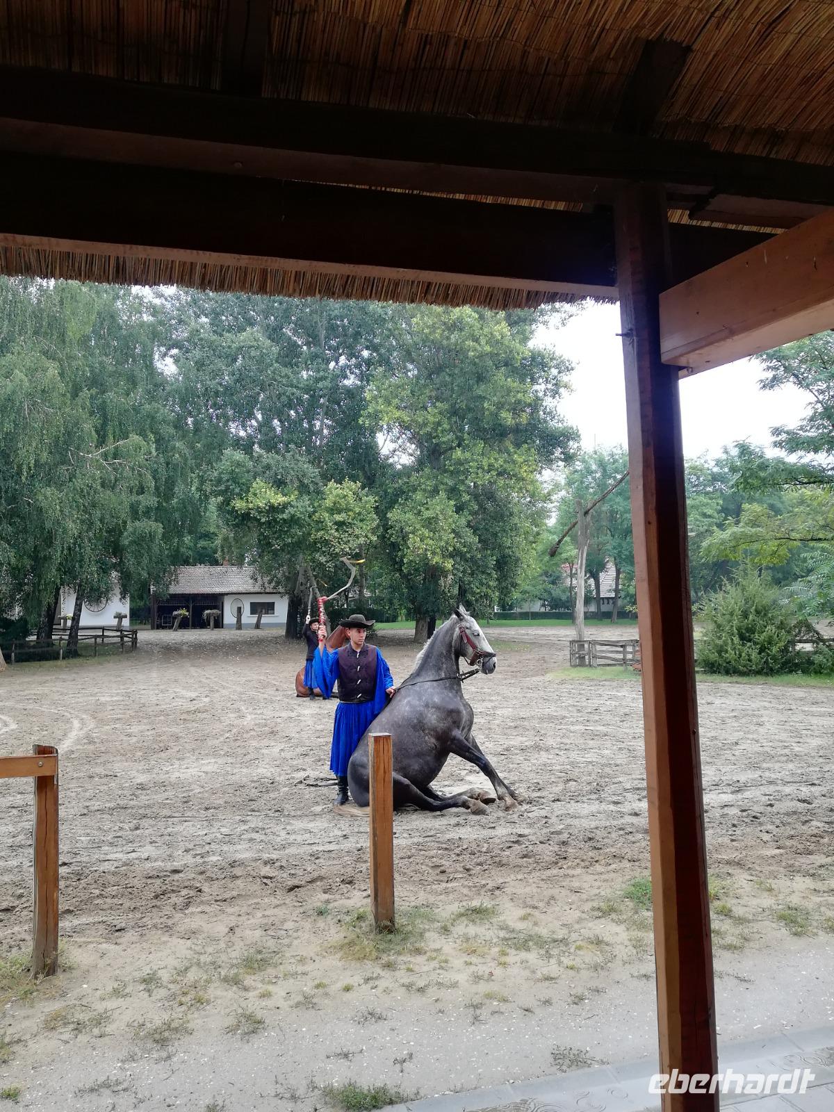 P9090128, Ausflug Puszta