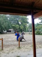 P9090128, Ausflug Puszta