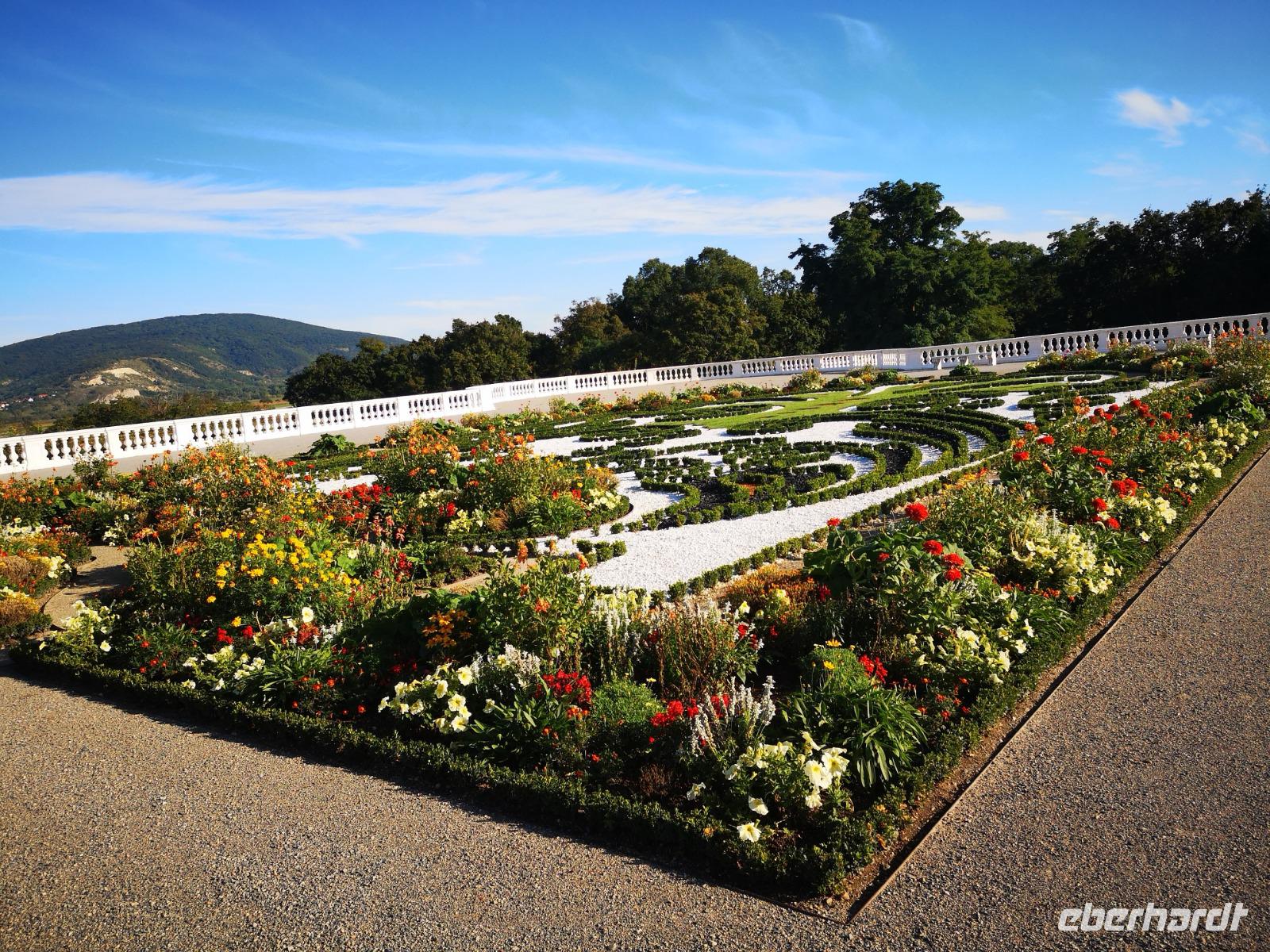 P9110256, Schloss Hof