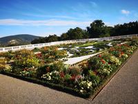 P9110256, Schloss Hof