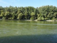 Donau