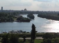 Mündung Save in Donau01.JPG