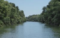 Im Donau-Delta02.JPG