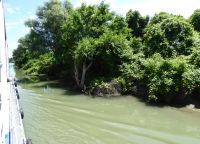Im Donau-Delta03.JPG
