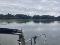 2024 Donaukreuzfahrt: Donaudelta - Natur pur